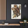 88299-34.jpg Masked Barn Owl by Elizabeth Gould Framed Canvas