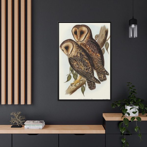 88299-34.jpg Masked Barn Owl by Elizabeth Gould Framed Canvas