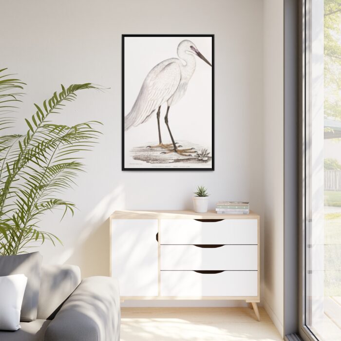 Indian White Heron by John Edward Gray Framed Canvas - Image 4