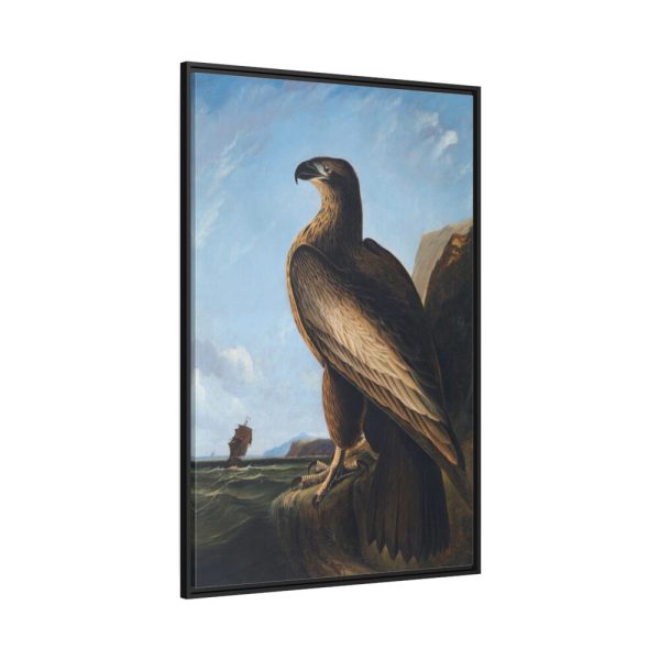 88299-45.jpg Washington Sea Eagle by John James Audubon Framed Canvas