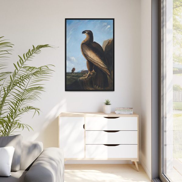 88299-48.jpg Washington Sea Eagle by John James Audubon Framed Canvas