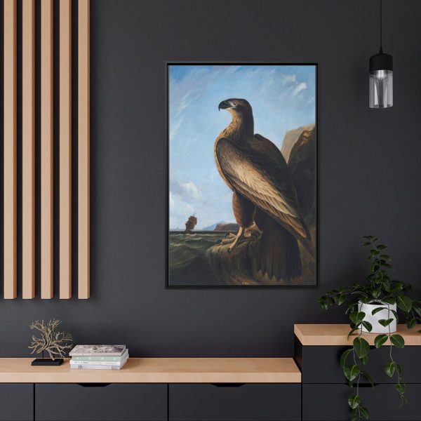 88299-49.jpg Washington Sea Eagle by John James Audubon Framed Canvas