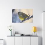 Goldfinch Bird Standard Canvas - Image 3