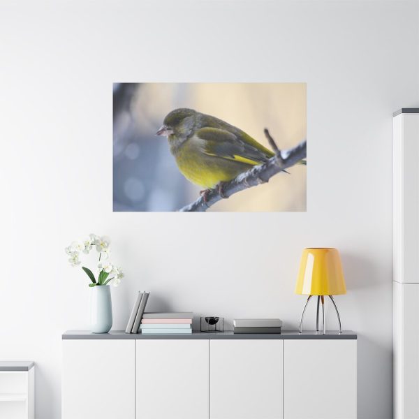 91638-142.jpg Goldfinch Bird Standard Canvas