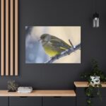 Goldfinch Bird Standard Canvas - Image 4