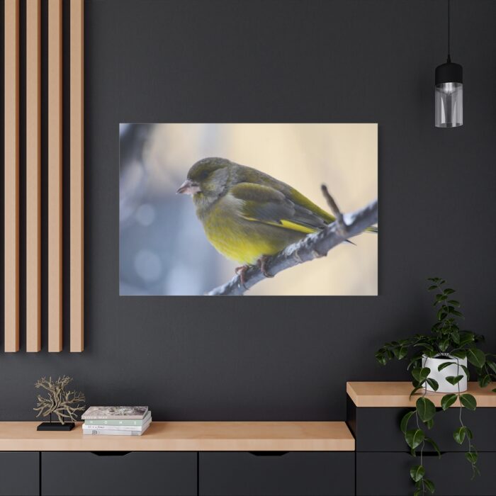 Goldfinch Bird Standard Canvas - Image 4