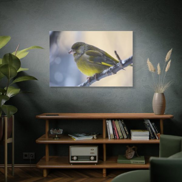 91638-144.jpg Goldfinch Bird Standard Canvas