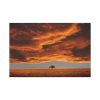 91638-151.jpg Orange Scenery With Beautiful Tree Standard Canvas