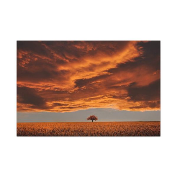 91638-151.jpg Orange Scenery With Beautiful Tree Standard Canvas