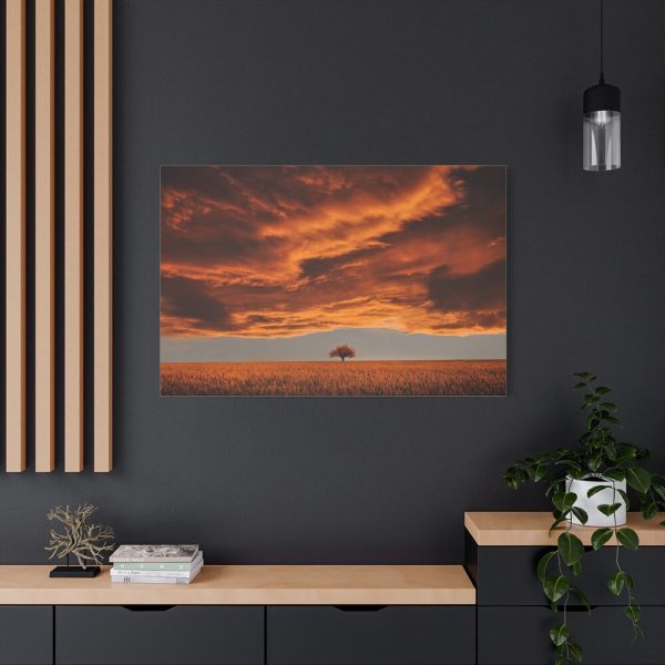 91638-153.jpg Orange Scenery With Beautiful Tree Standard Canvas