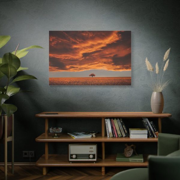 91638-154.jpg Orange Scenery With Beautiful Tree Standard Canvas