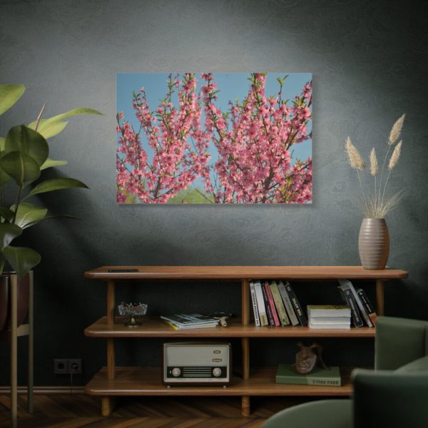91638-159.jpg Peach Blossoms Flowering Tree Standard Canvas