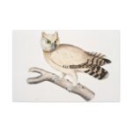 Coromandel Owl by John Edward Gray Standard Canvas - Image 2