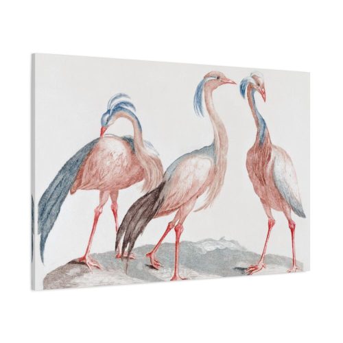 91638-170.jpg Miss Crane Birds by Johan Teyler Standard Canvas