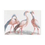 Miss Crane Birds by Johan Teyler Standard Canvas - Image 2