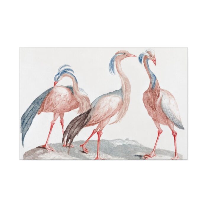 Miss Crane Birds by Johan Teyler Standard Canvas - Image 2