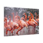 American Flamingo by Mehgan Murphy Standard Canvas