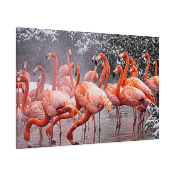 American Flamingo by Mehgan Murphy Standard Canvas