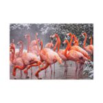 American Flamingo by Mehgan Murphy Standard Canvas - Image 2