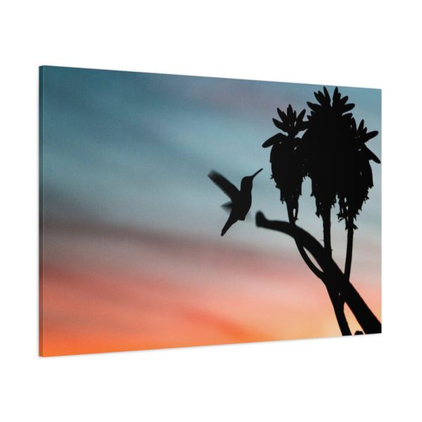 91638-180.jpg Hummingbird Standard Canvas