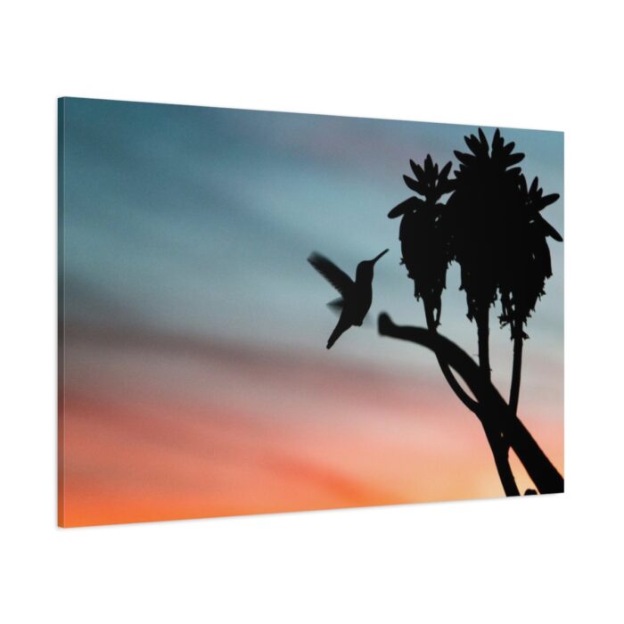 Hummingbird Standard Canvas - Image 1