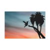 91638-181.jpg Hummingbird Standard Canvas