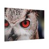 91638-210.jpg An Owl With Red Eyes Standard Canvas