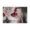 91638-211.jpg An Owl With Red Eyes Standard Canvas