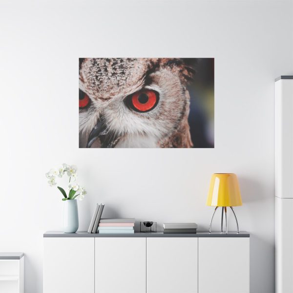 91638-212.jpg An Owl With Red Eyes Standard Canvas