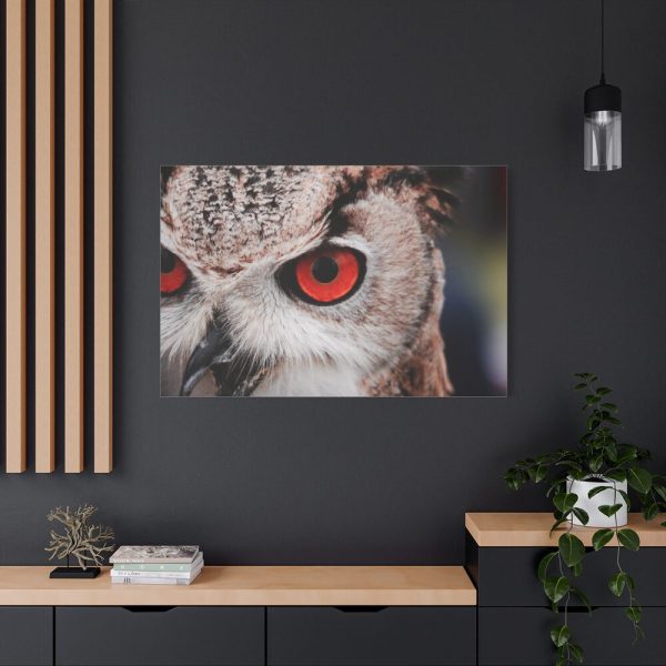 91638-213.jpg An Owl With Red Eyes Standard Canvas