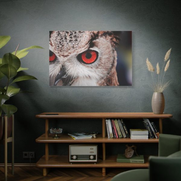 91638-214.jpg An Owl With Red Eyes Standard Canvas