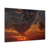 Flamingos Swarm Birds Nature Standard Canvas