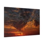 Flamingos Swarm Birds Nature Standard Canvas