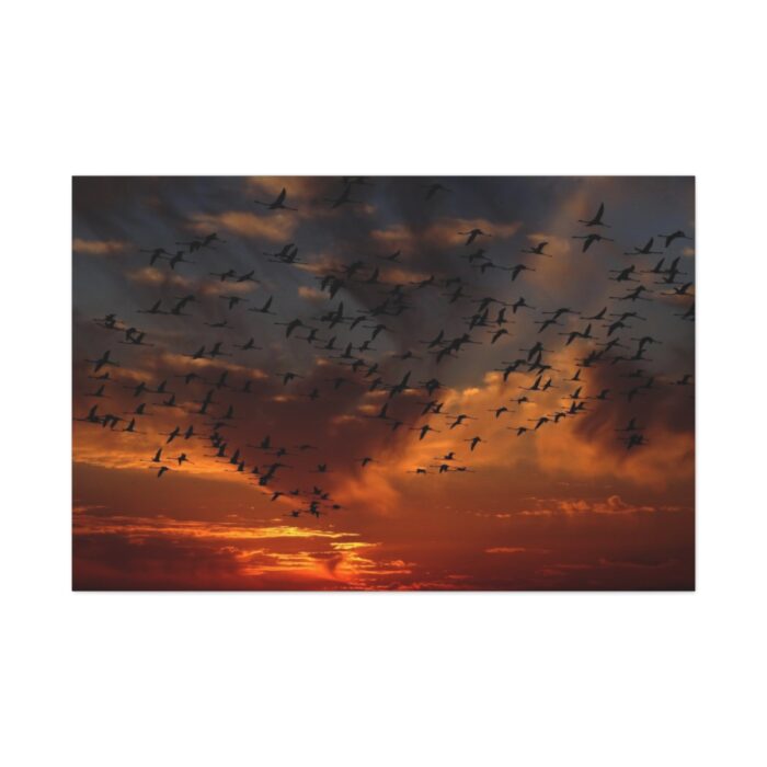 Flamingos Swarm Birds Nature Standard Canvas - Image 2