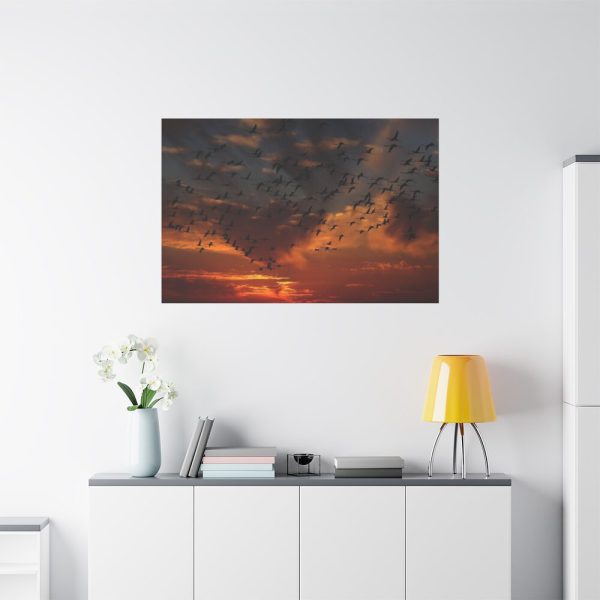 Flamingos Swarm Birds Nature Standard Canvas