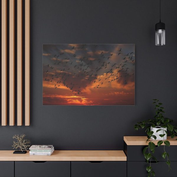Flamingos Swarm Birds Nature Standard Canvas
