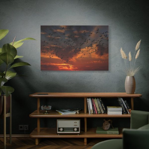 Flamingos Swarm Birds Nature Standard Canvas