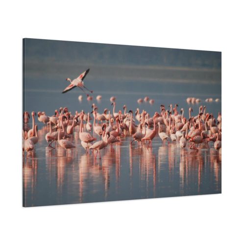 91638-245.jpg Flamingos in Africa Standard Canvas