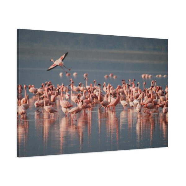 91638-245.jpg Flamingos in Africa Standard Canvas