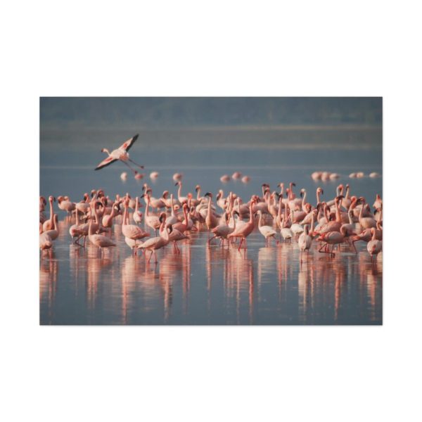 91638-246.jpg Flamingos in Africa Standard Canvas
