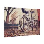 Bicycle Bike Old Vintage Standard Canvas