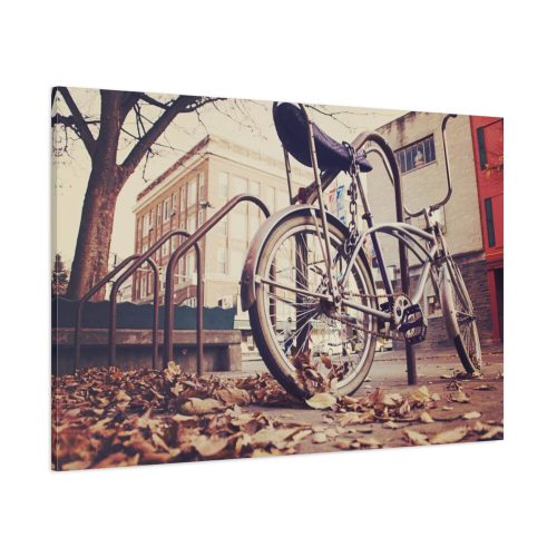 Bicycle Bike Old Vintage Standard Canvas