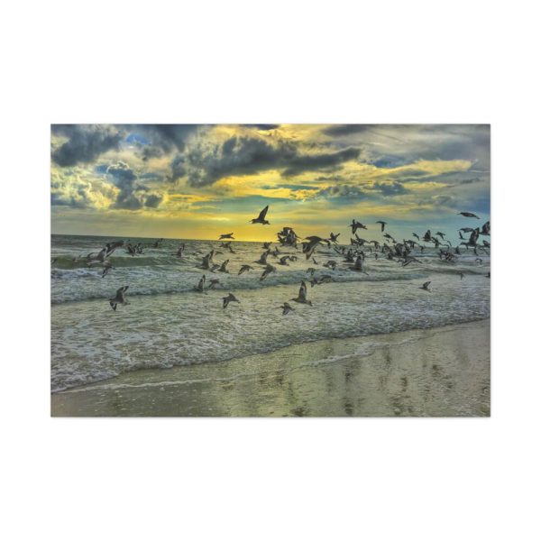 91638-36.jpg Convey of Birds are Flying Duing Sunset Standard Canvas