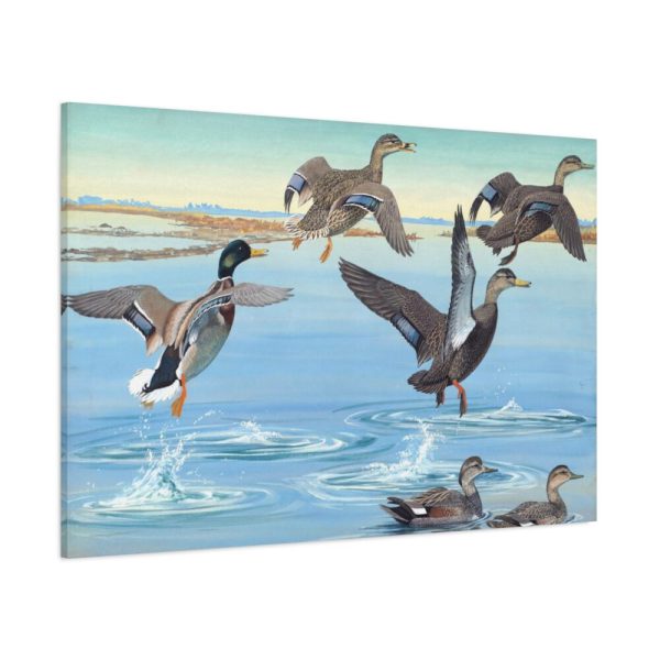 91638-460.jpg Vintage Ducks Art Standard Canvas
