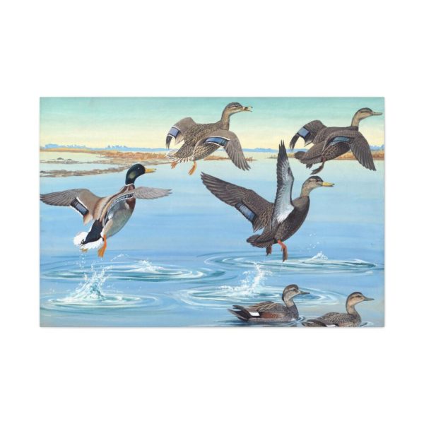 91638-461.jpg Vintage Ducks Art Standard Canvas