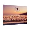 91638-75.jpg Bird Flying over Turkey Standard Canvas