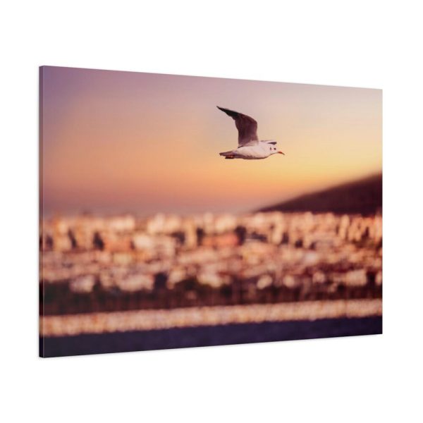 91638-75.jpg Bird Flying over Turkey Standard Canvas