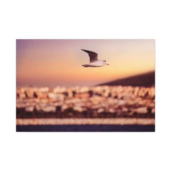 91638-76.jpg Bird Flying over Turkey Standard Canvas