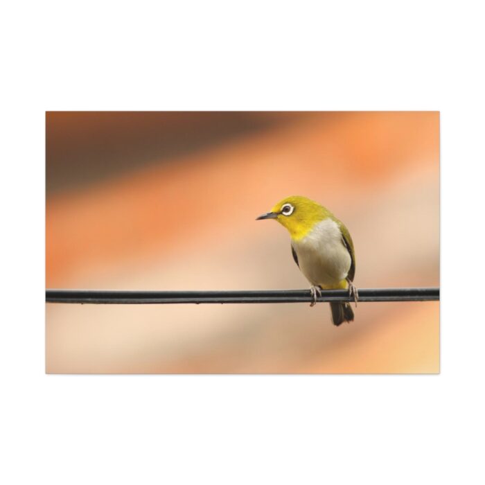 Yellow Bird Standard Canvas - Image 2