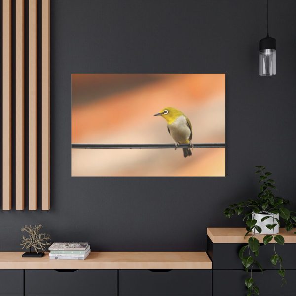 91638-83.jpg Yellow Bird Standard Canvas